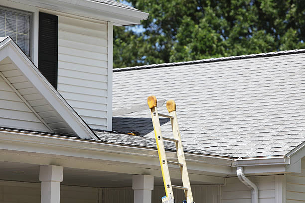Best Siding for New Construction  in Chenango Bridge, NY